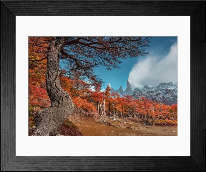 Framed Print : Los Glaciares National Park near El Chalten with Fitzroy peak in the background, Patagonia, Argentina