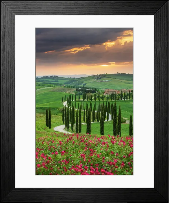 Framed Print : Winding road on the rolling hills of Tuscany near Asciano in Siena district, Italy Framed Print : Winding road on the rolling hills of Tuscany near Asciano in Siena district, Italy