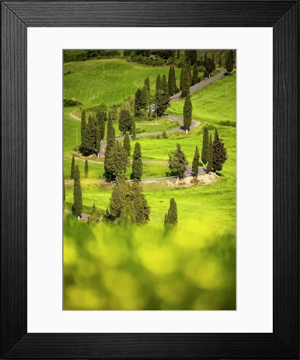 Framed Print : Winding road on the rolling hills of Tuscany near Asciano in Siena district, Italy Framed Print : Winding road on the rolling hills of Tuscany near Asciano in Siena district, Italy