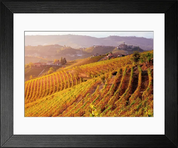 Framed Print : Langhe, Piedmont, Italy. Vineyards and autumn landscape Framed Print : Langhe, Piedmont, Italy. Vineyards and autumn landscape
