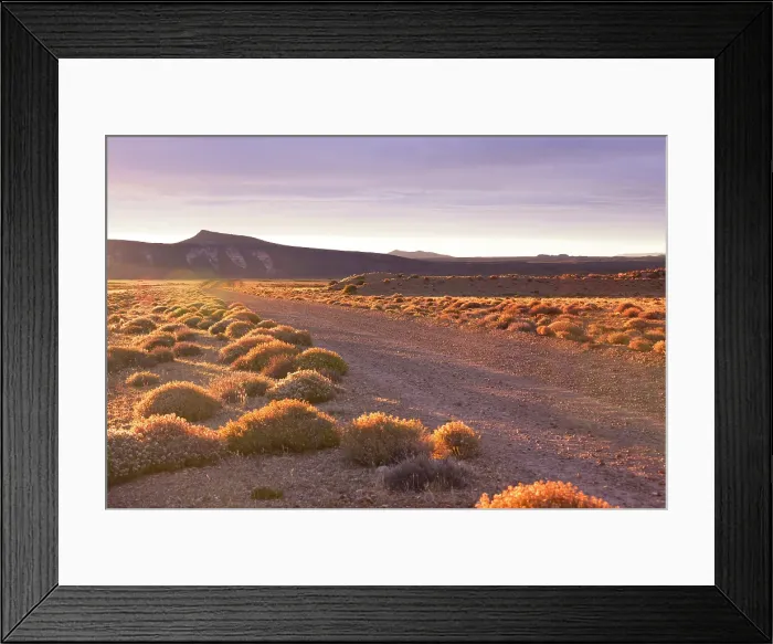Framed Print : The Patagonian steppe at sunset, Bosques Petrificados de Jaramillo National Park, Santa Cruz, Deseado, Patagonia, Argentina
