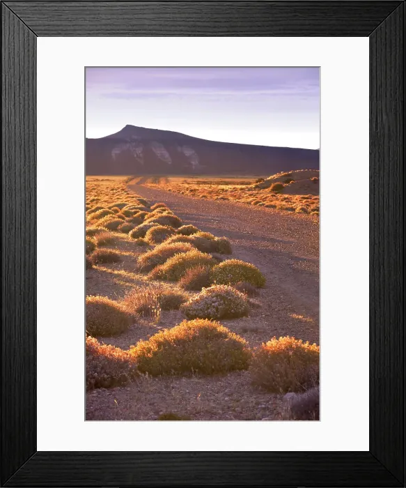 Framed Print : The Patagonian steppe at sunset, Bosques Petrificados de Jaramillo National Park, Santa Cruz, Deseado, Patagonia, Argentina Framed Print : The Patagonian steppe at sunset, Bosques Petrificados de Jaramillo National Park, Santa Cruz, Deseado, Patagonia, Argentina