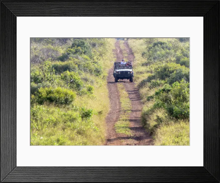 Framed Print : Guide taking tourists on a game drive, Zimanga Private Game Reserve, Natal, South Africa Framed Print : Guide taking tourists on a game drive, Zimanga Private Game Reserve, Natal, South Africa