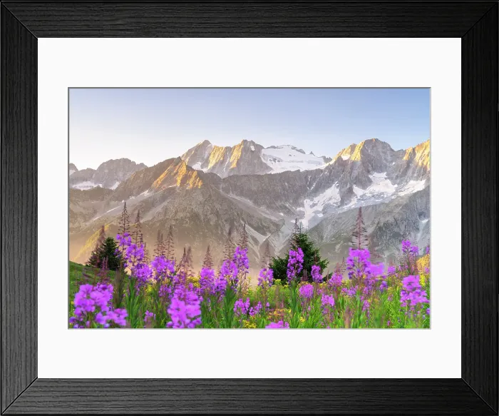 Framed Print : Presanella group in Ponte di Legno Tonale, Brescia province in Lombardy district, Italy Framed Print : Presanella group in Ponte di Legno Tonale, Brescia province in Lombardy district, Italy
