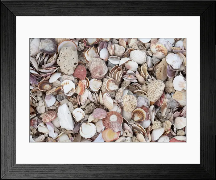 Framed Print : Beach covered in shells, Gigantes Islands, Iloilo Province, Western Visayas, Philippines