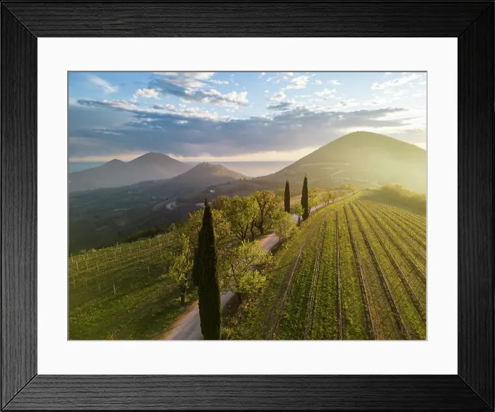 Framed Print : Monte Fasolo and Monte Rusta at sunset. Euganean Hills, Cinto Euganeo, Padova, Veneto, Italy Framed Print : Monte Fasolo and Monte Rusta at sunset. Euganean Hills, Cinto Euganeo, Padova, Veneto, Italy