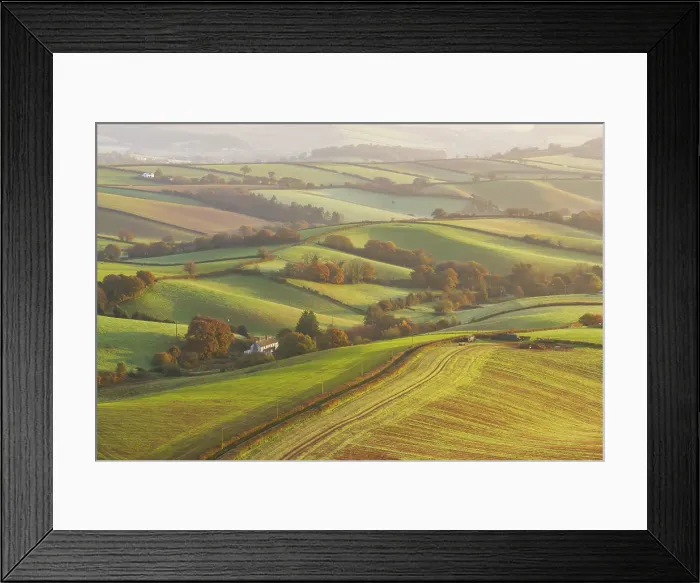 Framed Print : Rolling pastoral countryside at dawn, near Crediton in Devon, England. Autumn (November) 2024 Framed Print : Rolling pastoral countryside at dawn, near Crediton in Devon, England. Autumn (November) 2024
