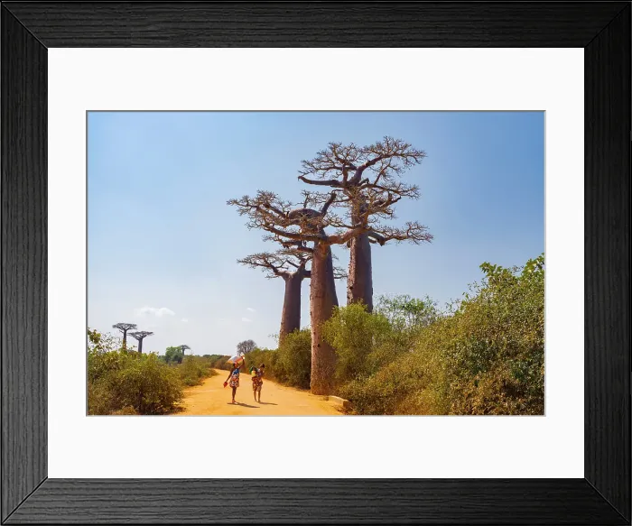 Framed Print : Women carry children, goods, Western Madagascar, Africa. Morondava