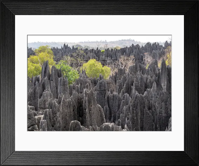 Framed Print : Unique rock formations, Madagascar, Africa. Tsingy De Bemaraha Framed Print : Unique rock formations, Madagascar, Africa. Tsingy De Bemaraha