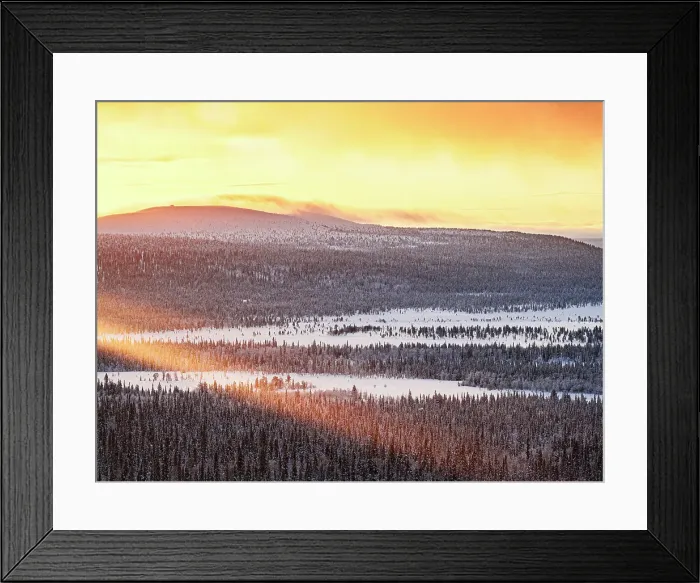 Framed Print : Romantic sunrise over a frozen snowy forest lit by sun rays, Pallas-Yllastunturi National Park, Muonio, Lapland, Finland