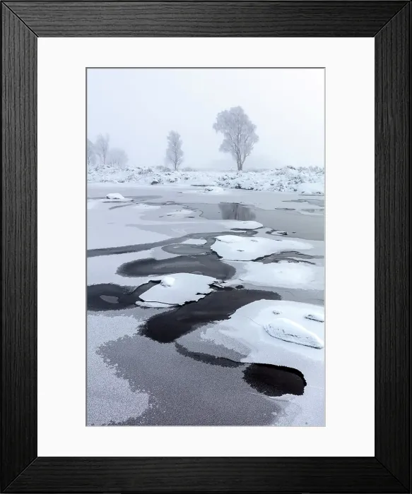 Framed Print : Trees covered in hoar frost by frozen Loch Ba, Rannoch Moor, Highand, Scotland Framed Print : Trees covered in hoar frost by frozen Loch Ba, Rannoch Moor, Highand, Scotland