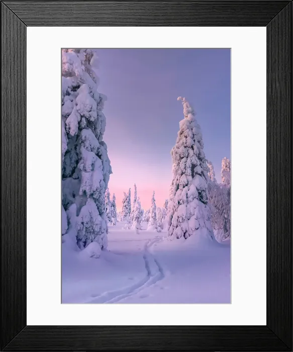 Framed Print : Trees covered with snow at the top of a mountain in Riisitunturi National Park in finnish Lapland, Finland Framed Print : Trees covered with snow at the top of a mountain in Riisitunturi National Park in finnish Lapland, Finland