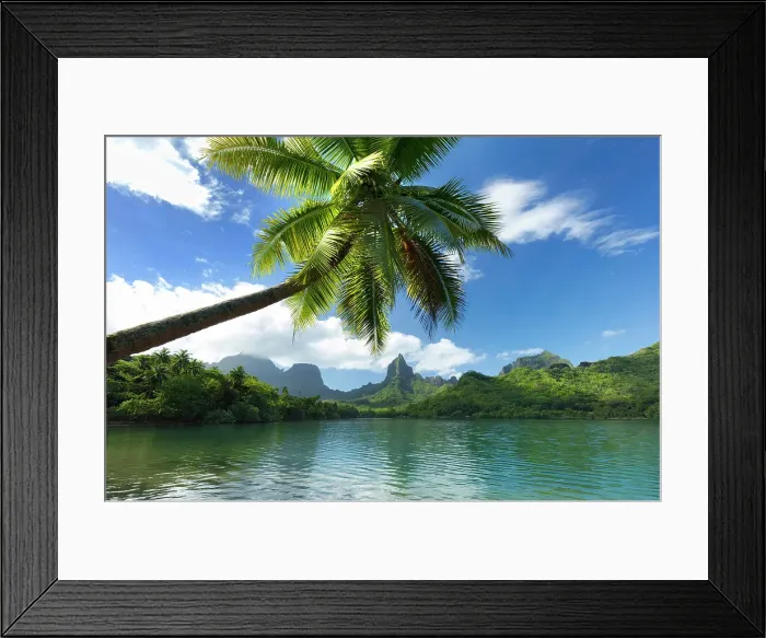 Framed Print : Mount Rotui, Mo'orea, Society Islands, French Polynesia Framed Print : Mount Rotui, Mo'orea, Society Islands, French Polynesia