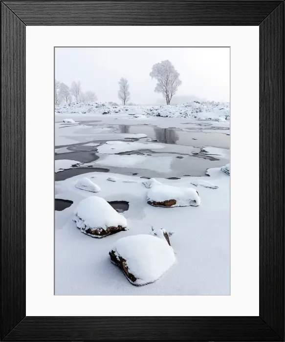 Framed Print : Trees covered in hoar frost by frozen Loch Ba, Rannoch Moor, Highand, Scotland Framed Print : Trees covered in hoar frost by frozen Loch Ba, Rannoch Moor, Highand, Scotland
