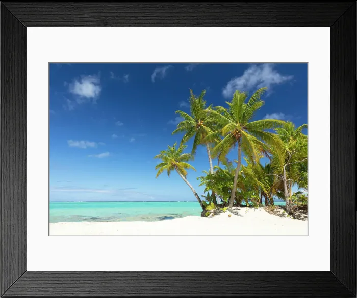 Framed Print : White sand beach, palm tree and sea, Taha'a, Society Islands, Pacific Ocean, French Polynesia Framed Print : White sand beach, palm tree and sea, Taha'a, Society Islands, Pacific Ocean, French Polynesia