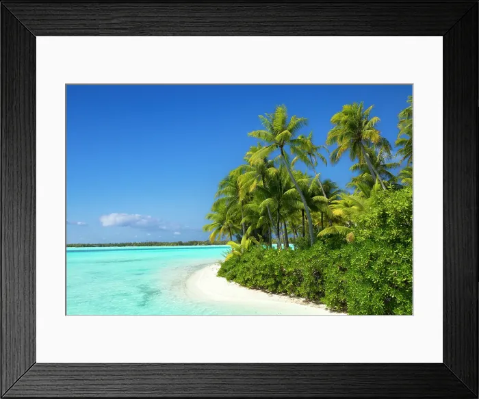 Framed Print : Idyllic beach scene with palm trees, Bora Bora, Society Islands, Pacific Ocean, French Polynesia Framed Print : Idyllic beach scene with palm trees, Bora Bora, Society Islands, Pacific Ocean, French Polynesia