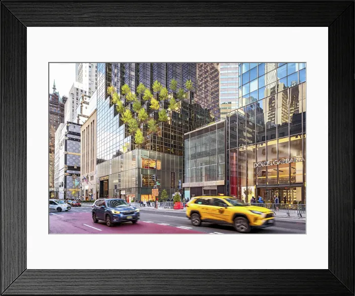 Framed Print : Holiday Shopping on Fifth Avenue with Luxury Brand, Stores like Dolce and Gabbana next to Trump Tower Manhattan, New York City, USA Framed Print : Holiday Shopping on Fifth Avenue with Luxury Brand, Stores like Dolce and Gabbana next to Trump Tower Manhattan, New York City, USA