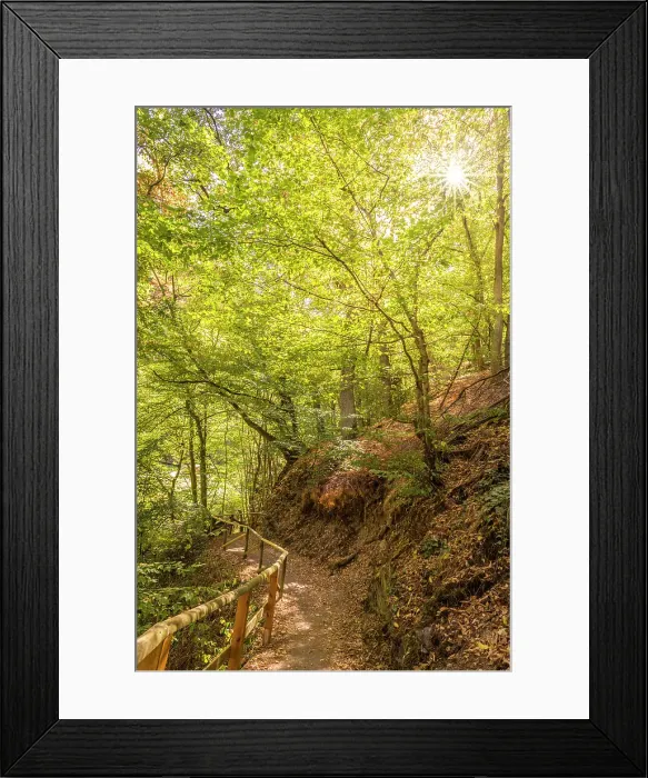 Framed Print : Forest hiking trail in the Tiefenbachtal above Bernkastel-Kues, Mosel, Rhineland-Palatinate, Germany