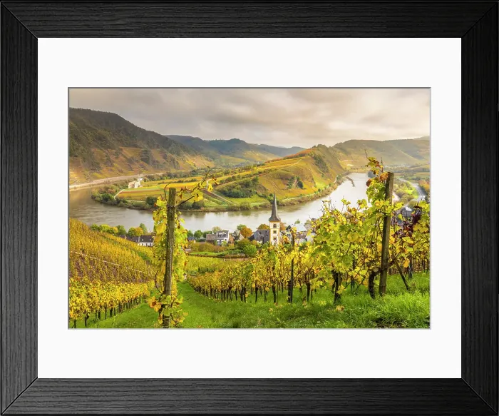 Framed Print : View from the vineyards of the Calmont vineyard to the town of Bremm on the Mosel, Mosel, Rhineland-Palatinate, Germany