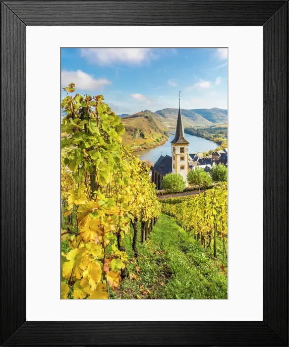 Framed Print : View from the vineyards of the Calmont vineyard to the town of Bremm with the church of St. Laurentius and the Moselle loop, Bremm, Mosel, Rhineland-Palatinate, Germany Framed Print : View from the vineyards of the Calmont vineyard to the town of Bremm with the church of St. Laurentius and the Moselle loop, Bremm, Mosel, Rhineland-Palatinate, Germany