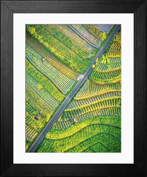 Framed Print : Aerial view of terraced fields at feet of Mount Sumbing, Nepal Van Java, Magelang, Central Java, Indonesia Framed Print : Aerial view of terraced fields at feet of Mount Sumbing, Nepal Van Java, Magelang, Central Java, Indonesia