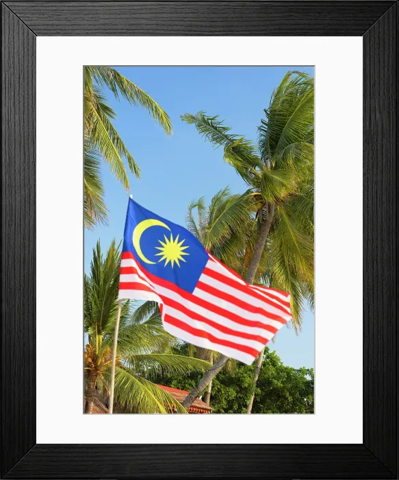 Framed Print : Palm trees and Malaysian flag, Cenang Beach, Langkawi, Kedah, Malaysia Framed Print : Palm trees and Malaysian flag, Cenang Beach, Langkawi, Kedah, Malaysia