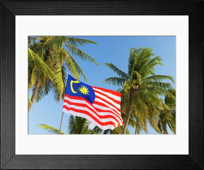 Framed Print : Palm trees and Malaysian flag, Cenang Beach, Langkawi, Kedah, Malaysia Framed Print : Palm trees and Malaysian flag, Cenang Beach, Langkawi, Kedah, Malaysia