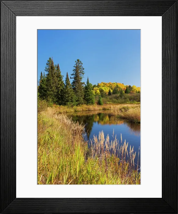 Framed Print : Lake in autumn, Worthington, Ontario, Canada Framed Print : Lake in autumn, Worthington, Ontario, Canada