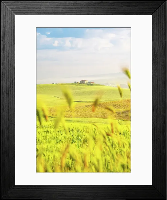 Framed Print : Early morning in the Val d'Orcia, Tuscany, Italy Framed Print : Early morning in the Val d'Orcia, Tuscany, Italy