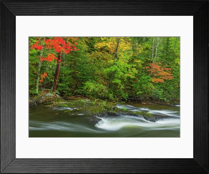 Framed Print : Berry Creek in autumn colors Sioux Narrows Provincial Park, Ontario, Canada Framed Print : Berry Creek in autumn colors Sioux Narrows Provincial Park, Ontario, Canada