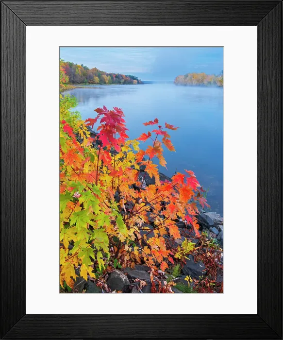 Framed Print : Autumn along the St, John River Fredericton, New Brunswick, Canada