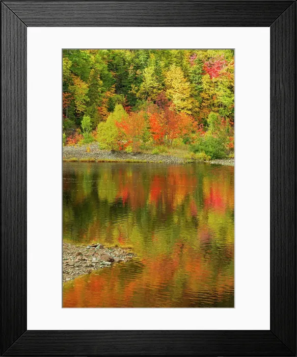 Framed Print : Autumn along a creek on the Cabot Trail, Cape Breton, Indian Brook, Nova Scotia, Canada