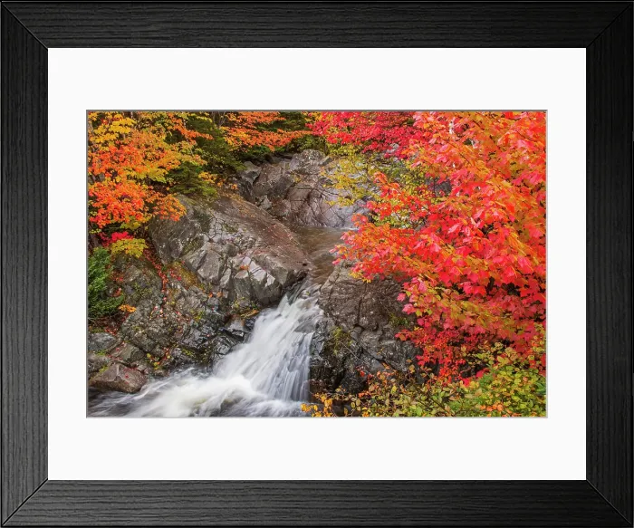 Framed Print : Morrison Brook Falls in Hardwood forest in autumn on the Cabot Trail, Cape Breton, Morrison Brook, Nova Scotia, Canada Framed Print : Morrison Brook Falls in Hardwood forest in autumn on the Cabot Trail, Cape Breton, Morrison Brook, Nova Scotia, Canada