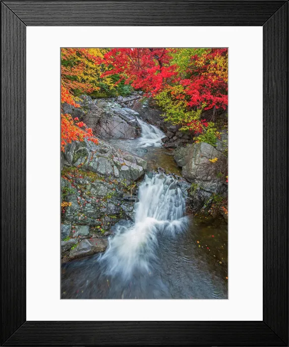 Framed Print : Morrison Brook Falls in Hardwood forest in autumn on the Cabot Trail, Cape Breton, Morrison Brook, Nova Scotia, Canada Framed Print : Morrison Brook Falls in Hardwood forest in autumn on the Cabot Trail, Cape Breton, Morrison Brook, Nova Scotia, Canada