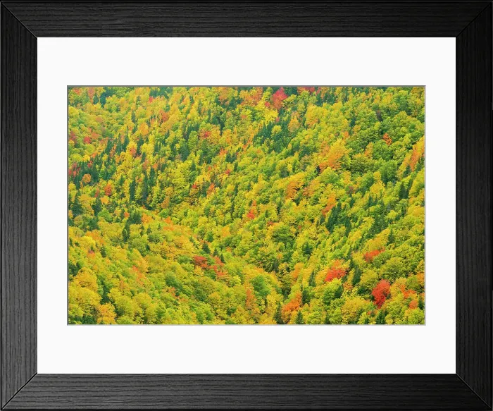Framed Print : jλc1KfNt*OiqqB IH?UxC}2s|4'GDd @T'lK0Vl