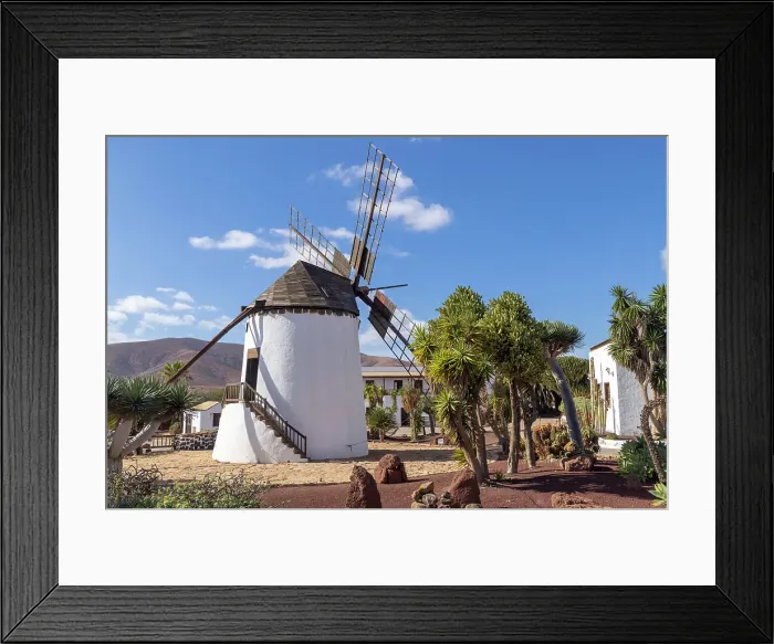 Framed Print : Windmill on cactus farm, Antigua, Fuerteventura, Canary Islands, Spain Framed Print : Windmill on cactus farm, Antigua, Fuerteventura, Canary Islands, Spain