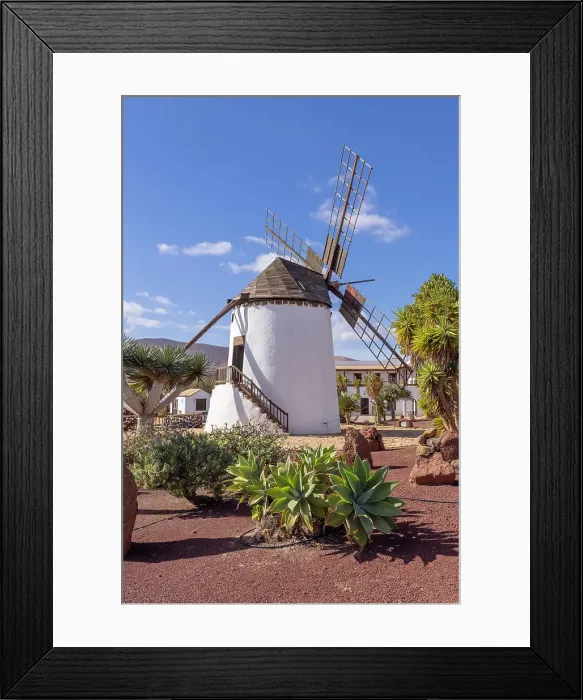Framed Print : Windmill on cactus farm, Antigua, Fuerteventura, Canary Islands, Spain Framed Print : Windmill on cactus farm, Antigua, Fuerteventura, Canary Islands, Spain