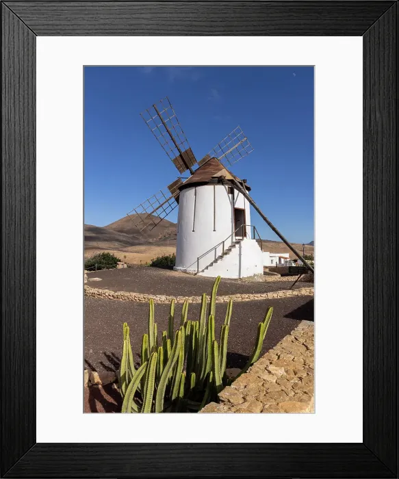 Framed Print : Windmill on cactus farm, Antigua, Fuerteventura, Canary Islands, Spain Framed Print : Windmill on cactus farm, Antigua, Fuerteventura, Canary Islands, Spain
