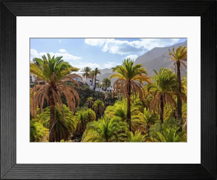 Framed Print : Barranco near Fataga, Valley of a thousand palm trees, Gran Canaria, Canary Islands, Spain Framed Print : Barranco near Fataga, Valley of a thousand palm trees, Gran Canaria, Canary Islands, Spain
