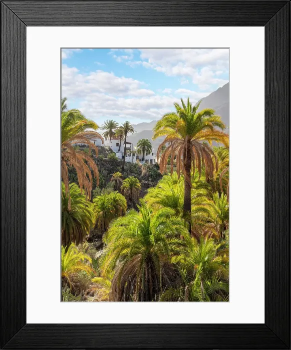 Framed Print : Barranco near Fataga, Valley of a thousand palm trees, Gran Canaria, Canary Islands, Spain Framed Print : Barranco near Fataga, Valley of a thousand palm trees, Gran Canaria, Canary Islands, Spain