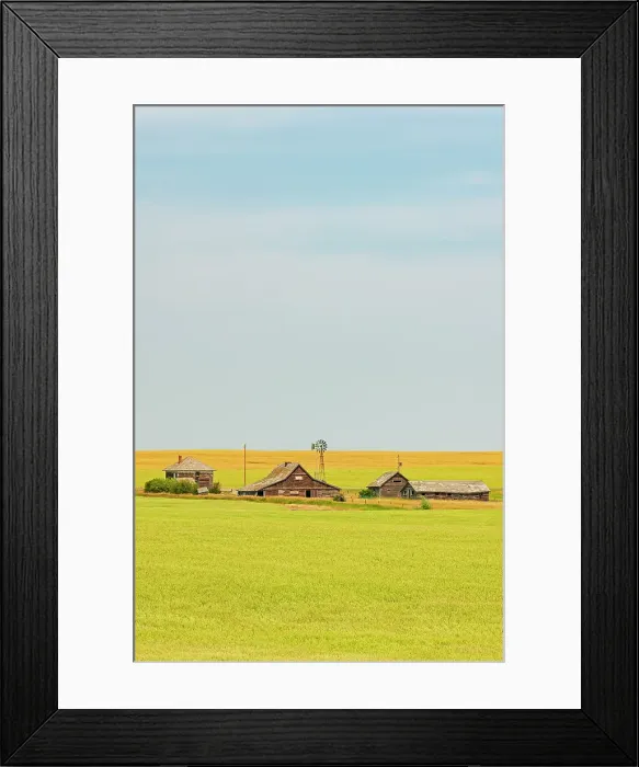 Framed Print : Old, abandonned homestead with barrn, farmhouse, other buildings and crop, Vulcan, Alberta, Canada Framed Print : Old, abandonned homestead with barrn, farmhouse, other buildings and crop, Vulcan, Alberta, Canada