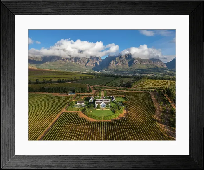Framed Print : Brookdale Wine Estate, Paarl, Western Cape, South Africa Framed Print : Brookdale Wine Estate, Paarl, Western Cape, South Africa