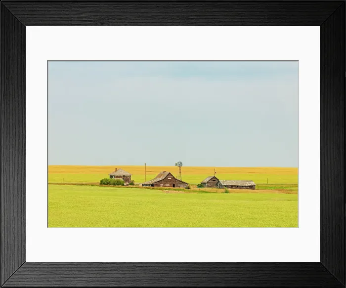 Framed Print : Old, abandonned homestead with barrn, farmhouse, other buildings and crop, Vulcan, Alberta, Canada Framed Print : Old, abandonned homestead with barrn, farmhouse, other buildings and crop, Vulcan, Alberta, Canada