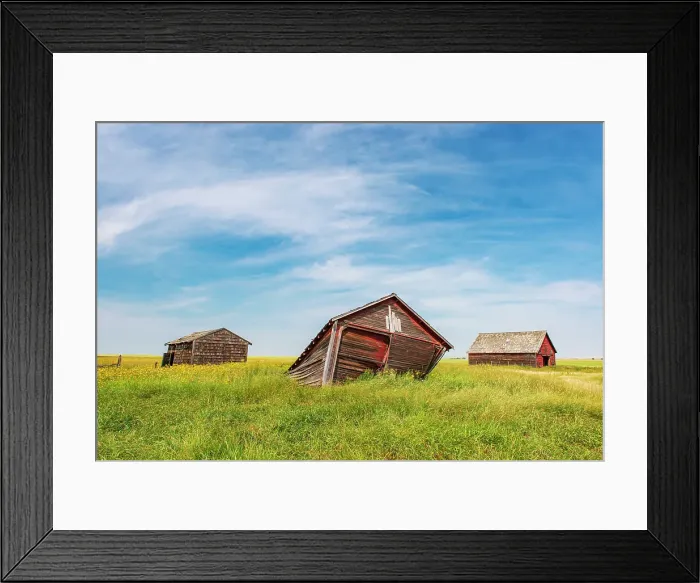 Framed Print : Falling wooden farm buildings and clouds, Champion, Alberta, Canada Framed Print : Falling wooden farm buildings and clouds, Champion, Alberta, Canada