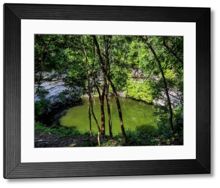 Framed Print : The Sacred Cenote, Chichen Itza, Yucatan State, Mexico Framed Print : The Sacred Cenote, Chichen Itza, Yucatan State, Mexico