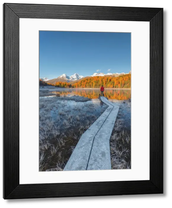 Framed Print : Staz lake (Stazersee), St Moritz, Graubunden, Engadine, Switzerland Framed Print : Staz lake (Stazersee), St Moritz, Graubunden, Engadine, Switzerland