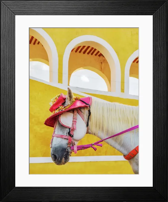 Framed Print : Horse wearing a hat in front of the Convent of San Antonio de Padua, Izamal, Yucatan State, Mexico Framed Print : Horse wearing a hat in front of the Convent of San Antonio de Padua, Izamal, Yucatan State, Mexico