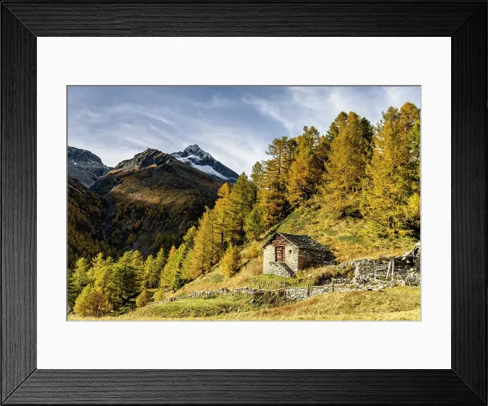 Framed Print : Lonely traditional house in the pasture in autumn. Chiareggio, Valmalenco, Valtellina, Italy Framed Print : Lonely traditional house in the pasture in autumn. Chiareggio, Valmalenco, Valtellina, Italy