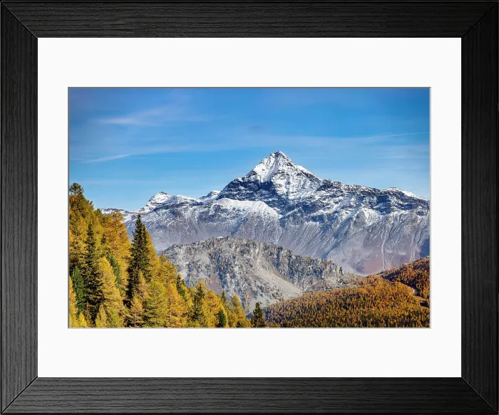 Framed Print : Pizzo Scalino framed in autumnal colours. Valmalenco, Valtellina, Lombardy, Italy Framed Print : Pizzo Scalino framed in autumnal colours. Valmalenco, Valtellina, Lombardy, Italy