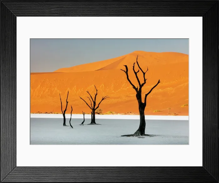 Framed Print : Dead camel thorn trees on a dried-up white mud pan & sand dunes, Dead Vlei, Namib-Naukluft National Park, Namib Desert, Namibia Framed Print : Dead camel thorn trees on a dried-up white mud pan & sand dunes, Dead Vlei, Namib-Naukluft National Park, Namib Desert, Namibia